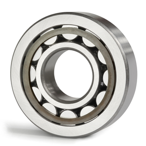 N206 - Cylindrical Roller Bearings