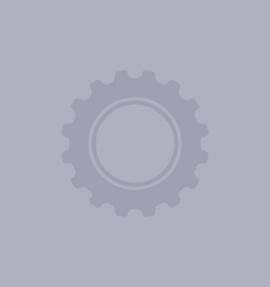 29424 - Roller Bearings